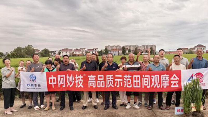 江蘇惠多利舉辦撒可富種植大戶(hù)觀(guān)摩訂貨會(huì)